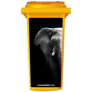 Elephant On Black Background Wheelie Bin Sticker Panel